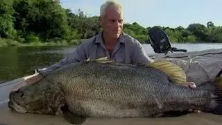 Fishing Planet Mobile - Congo n&iacute;vel 75 - Pescaria noturna de Perca do Nilo - Trof&eacute;u e &Uacute;nica em 7min