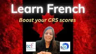 TEF TCF Canada Exam Coaching 🇨🇦 #frenchclasses #tefexam #tcfcanada 