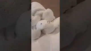 Animal Towel Folding Turtle @Theang