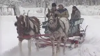 Snowy sleigh ride Back Down The Pennsylvania Road