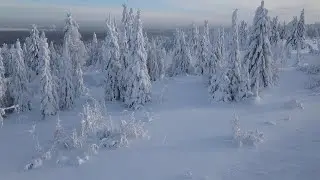 Blizzard Storm Sounds | Relaxing Winter Background Sounds with Heavy Wind & Snow