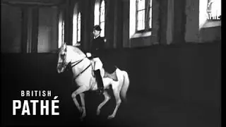 Dancing Horses (1946)