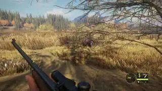 Hunter Call of the Wild  Bear Attack