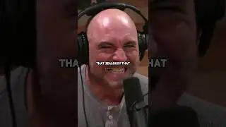 Joe Rogan on how mean are Chimpanzees #joerogan #jre #chimpanzee #ufc #ufc288 #wildlife