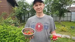 The Results of Our Dacha Summer Season 2025