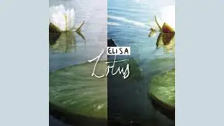Elisa - Yashal - HQ