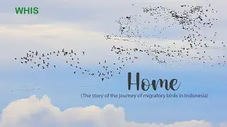 HOME - Indonesia Sumatera Flyway Migratory Birds