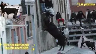 Resumen directo Sagunto 25 de Enero 2026 . Especial La Paloma 