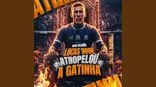 Lucas Bode Atropelou a Gatinha