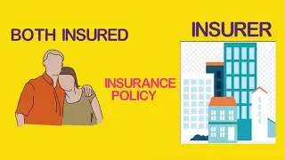 Insured And Insurer