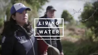 Transforming agriultural drains into healthy waterways