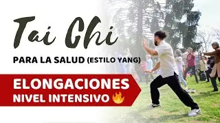 TAICHI Las 7 estrellas - NIVEL INTENSIVO - Elongacion ☯️ PARTE 2