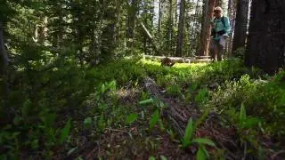 Climate Change & High Elevation National Parks