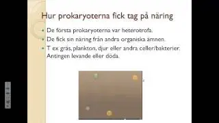 Livets utveckling