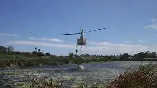 Working on Fire, Stanford, Western Cape fire