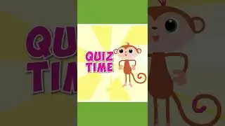 Learn All About Netherlands With StoryZoo #shorts #learning #learnenglish #storyzoo