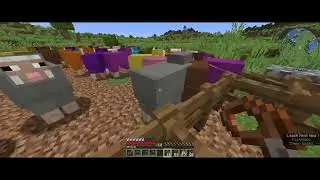 transporting sheep to my farm