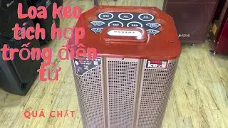 Loa K&eacute;o Temeisheng QX153 - Loa k&eacute;o Ho&agrave;ng nam