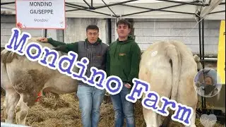62^ Fiera di Primavera Città di Mondovi #cuneo