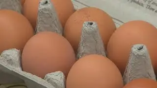 Egg prices decreasing in Nevada, suspended cage-free egg law will not be extended