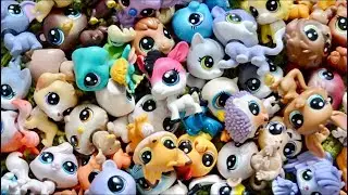 My G5 & G6 Littlest Pet Shop Collection!