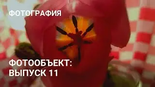 Фотообъект: выпуск 11