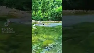 Lake Sounds #viral #youtube #lakesound #lakeview