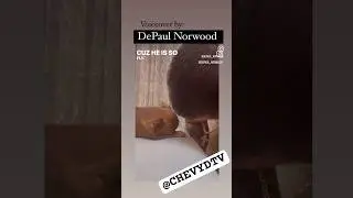 TALKING BOUT LIVING YOUR BEST LIFE! Y SHE BLUSHING🐕 #chevydtv #funny 😂🤣😂😂😁😁😁