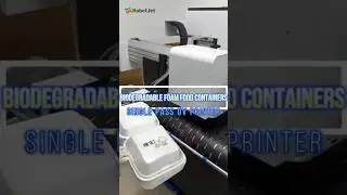 Biodegradable Foam Food Containers Single Pass UV Printer