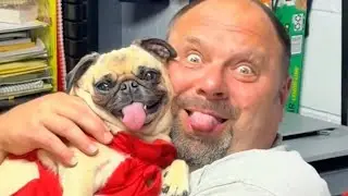 Dogs look like their owners 😂