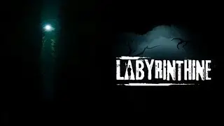 Large Lobby Lab with A LOT of Friends