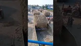 Layyah sugar Mills | sugar Mills in pakistan | #shortsvideo
