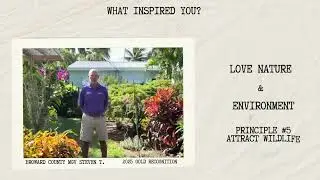 Our Florida-Friendly Landscaping Journey: What Inspired Us