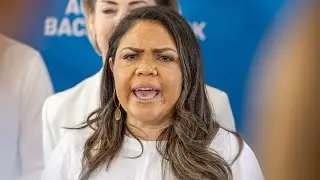 ‘Community has taken offence’: Jacinta Price’s comments 'damage' the Liberal Party