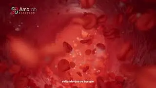 Albumina Alta : Causas y consecuencias | Ambar Lab