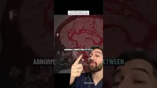POV: You Hear This at Night
