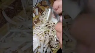ASMRKIRI, ASMR Satisfying banana cutting! #shorts #asmr #cuttingasmr #bananasounds #asmrbanana 39