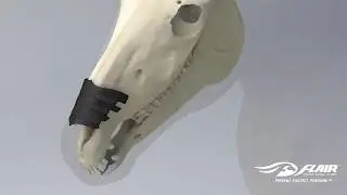 Optimal FLAIR Strip Placement