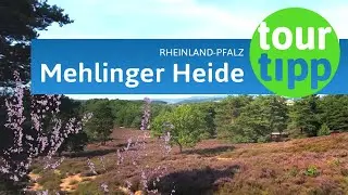 Mehlinger Heide