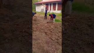 agriculture