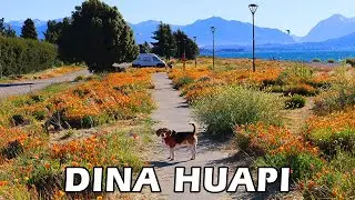 LA PLAYA M&Aacute;S TRANQUILA CERCA DE BARILOCHE - Dina Huapi lleno de Flores y vientos Patagonicos - T2/C5