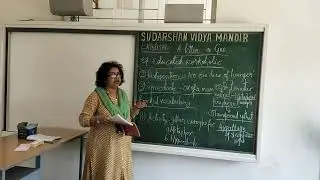 English 9th Grade 19-03-2020