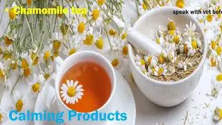 Dog Calming - Calming supplements for your dog recommended by a vet