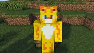 Animation1