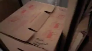 Zelda the Cat is a Box Inspector