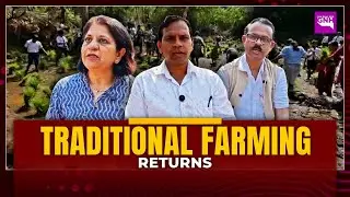 Puran Farming Is Back