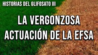 HISTORIAS DEL GLIFOSATO III ⚠️ La vergonzosa actuación de la EFSA