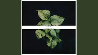Evergreen (Rework I)