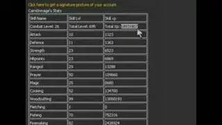 Carn0wnage-Road to 99 Firemake and my stats