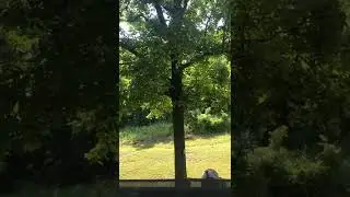 Clear Water Rentals cabin in Oklahoma at Lake Tenkiller (2022)